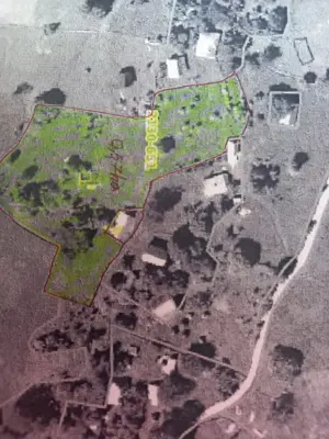 Teren de vânzare - imagine 2