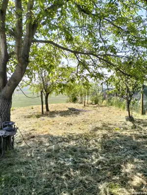 Casa de vânzare Băneasa  - imagine 9