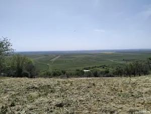 Casa de vânzare Băneasa  - imagine 6