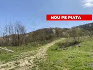 Teren 13.000 mp zona de deal - Aninoasa AG - imagine 2