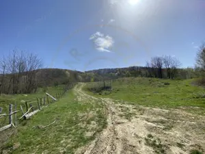 Teren 13.000 mp zona de deal - Aninoasa AG - imagine 4