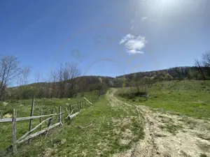 Teren 13.000 mp zona de deal - Aninoasa AG - imagine 3