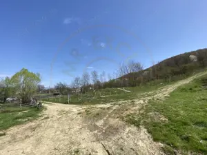 Teren 13.000 mp zona de deal - Aninoasa AG - imagine 6