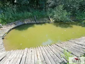 Casa noua de vanzare in Berghin - Straja cu 6063 mp teren - imagine 14 Casa noua de vanzare in Berghin - Straja cu 6063 mp teren - imagine 14