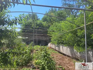 Casa noua de vanzare in Berghin - Straja cu 6063 mp teren - imagine 15 Casa noua de vanzare in Berghin - Straja cu 6063 mp teren - imagine 15