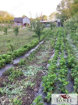 Casa noua de vanzare in Berghin - Straja cu 6063 mp teren - imagine 19 Casa noua de vanzare in Berghin - Straja cu 6063 mp teren - imagine 19