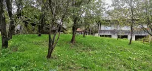 Casa de vanzare - teren 2357 mp in comuna Pietrari