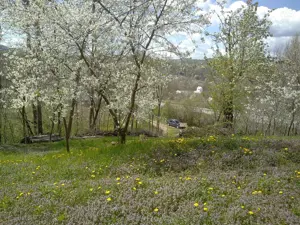 Casa de vanzare - teren 2357 mp in comuna Pietrari - imagine 4