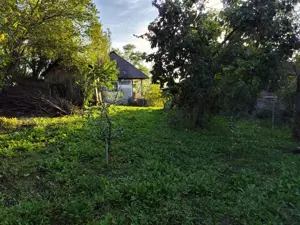 Casa de vanzare - teren 2357 mp in comuna Pietrari - imagine 2