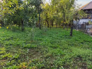 Casa de vanzare - teren 2357 mp in comuna Pietrari - imagine 6