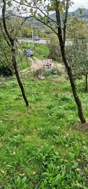 Casa de vanzare - teren 2357 mp in comuna Pietrari - imagine 9