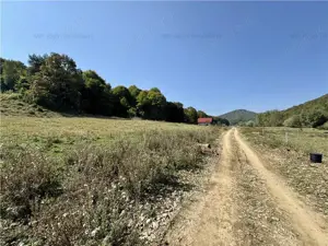 Teren superb zona Maierus Feldioara 660 mp - imagine 3