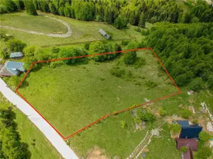 COMISION 0 | Sat Pestera zona de poveste teren cu utilitati 10 000mp - imagine 2