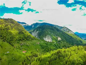 COMISION 0 | Sat Pestera zona de poveste teren cu utilitati 10 000mp - imagine 8