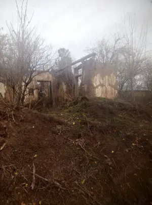 vand teren intravilan Baduleasa,Teleorman , 2500mp - imagine 3