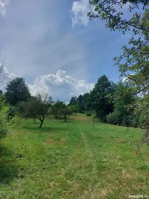 Teren extravilan in satul Breb MM - imagine 2