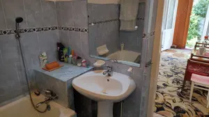 casa singur in curte ULTRACENTRAL - cu magazin stradal - imagine 3