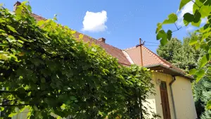 casa singur in curte ULTRACENTRAL - cu magazin stradal - imagine 7