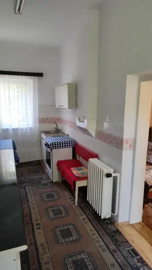 casa singur in curte ULTRACENTRAL - cu magazin stradal - imagine 10