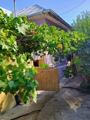 Casa batraneasca de vanzare - imagine 4