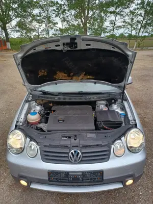 VW Polo Cross Fun, 2004 - imagine 10