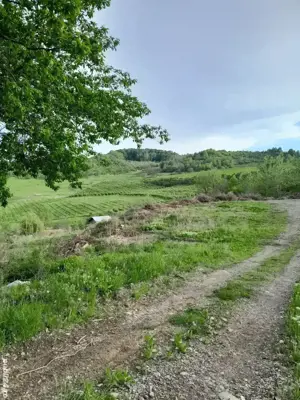 OCAZIE, Posibil plata în rate, Teren Breaza Prahova - imagine 3