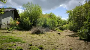 Teren intravilan 3.269 mp în Slimnic–panorama superbă, 15 km de Sibiu - imagine 9