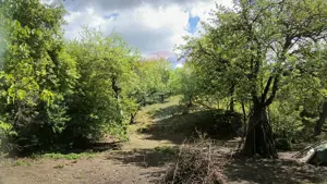 Teren intravilan 3.269 mp în Slimnic–panorama superbă, 15 km de Sibiu - imagine 11