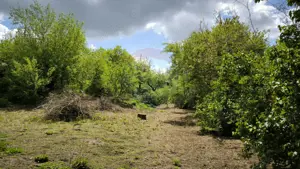 Teren intravilan 3.269 mp în Slimnic–panorama superbă, 15 km de Sibiu - imagine 13