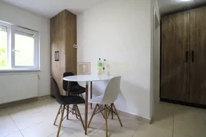 Giroc,  parter, mobilat si utilat complet ! Loc parcare privat. - imagine 5