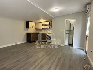 Casa individuala P+ M, cu garaj si anexa, in Sanandrei - imagine 6