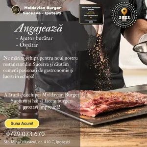 Angajăm colegi cu dorința de dezvoltare în domeniul Horeca!