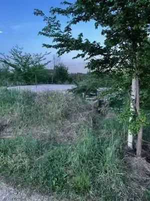Terenuri de vanzare Ciolpani,sat Piscu,zona linistita,fara tranzit,aproape de padurea Scrovistea. - imagine 18