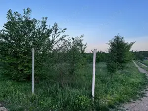 Terenuri de vanzare Ciolpani,sat Piscu,zona linistita,fara tranzit,aproape de padurea Scrovistea. - imagine 23