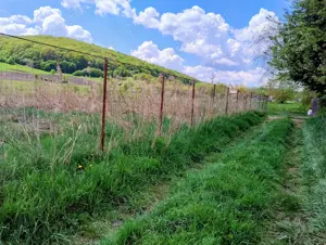 Teren Intravilan 900 mp in Valcele jud Covasna - imagine 4