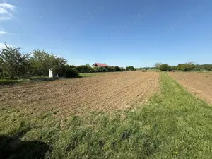 De vanzare 2 loturi de teren de 500mp in Ciorogarla, Str. Cartonari, - imagine 6