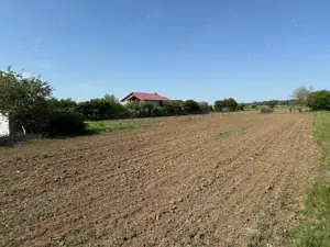 De vanzare 2 loturi de teren de 500mp in Ciorogarla, Str. Cartonari, - imagine 5