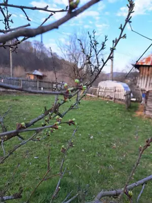 Casa si teren Corbii de Piatra - imagine 6