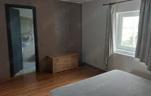 Proprietar vand casa in Covaci 