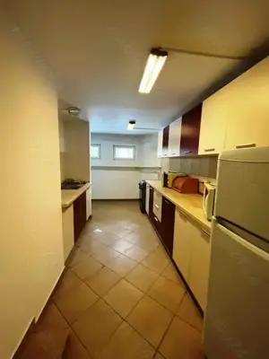 Baneasa - Strada Garlei imobil D+P+2 renovat 523 mp utili 644 teren - imagine 10
