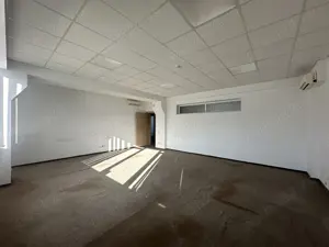 Theodor Pallady stradal birou 410 mp utili LIBER - imagine 16