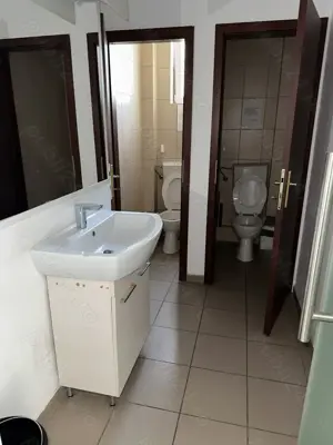 Theodor Pallady stradal birou 410 mp utili LIBER - imagine 14