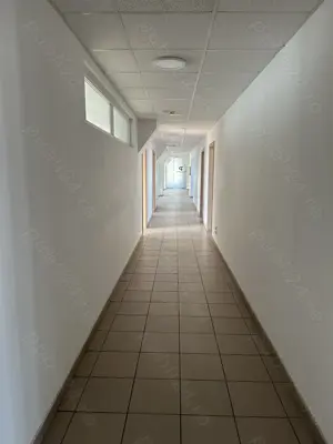 Theodor Pallady stradal birou 410 mp utili LIBER - imagine 11