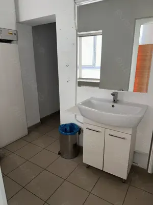 Theodor Pallady stradal birou 410 mp utili LIBER - imagine 3