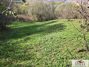 Casa de vanzare in Ghirbom - Berghin- 3800 mp teren - imagine 12 Casa de vanzare in Ghirbom - Berghin- 3800 mp teren - imagine 12