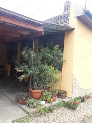 Vand casa in moftinu mic - imagine 8