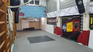 Sala cursuri arte martiale - Studio dansuri - imagine 2