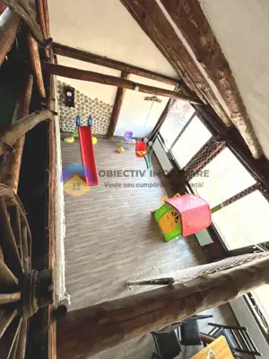 COMPLEX TURISTIC  comuna COSTISA - Afacere la cheie - imagine 10