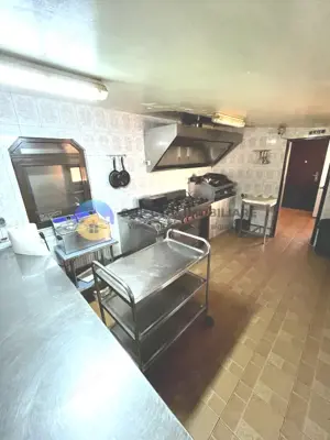 COMPLEX TURISTIC  comuna COSTISA - Afacere la cheie - imagine 13