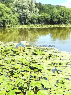 COMPLEX TURISTIC  comuna COSTISA - Afacere la cheie - imagine 9